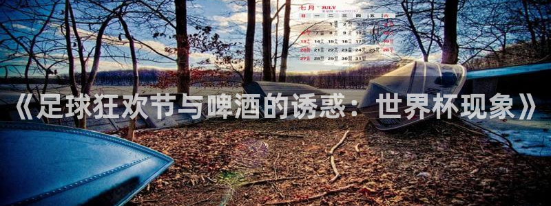 世界杯决赛圈球队:《足球狂欢节与啤酒的诱惑:世界杯现象》