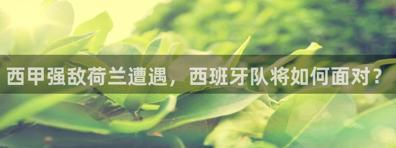 世界杯预选赛规则:西甲强敌荷兰遭遇,西班牙队将如何面对?