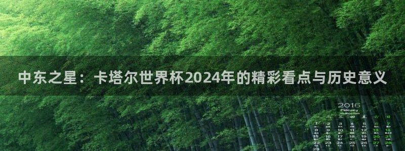 2026年世界杯赛程:中东之星:卡塔尔世界杯2024年的精彩看点与历史意义