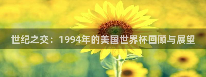 美国世界杯:世纪之交:1994年的美国世界杯回顾与展望
