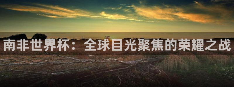 美洲杯直播:南非世界杯:全球目光聚焦的荣耀之战