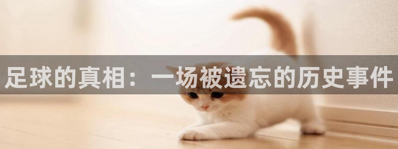 世界杯系列赛:足球的真相:一场被遗忘的历史事件