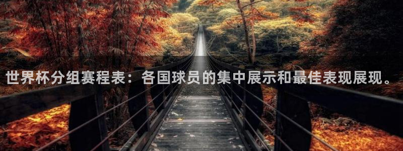 世界杯预赛赛程:世界杯分组赛程表:各国球员的集中展示和最佳表现展现。