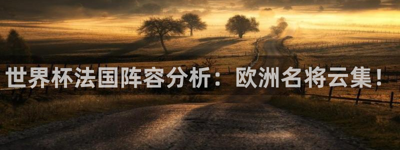 世界杯预选赛直播:世界杯法国阵容分析:欧洲名将云集!