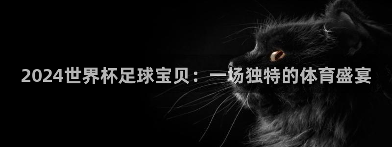 世界杯欧洲区世预赛赛程:2024世界杯足球宝贝:一场独特的体育盛宴