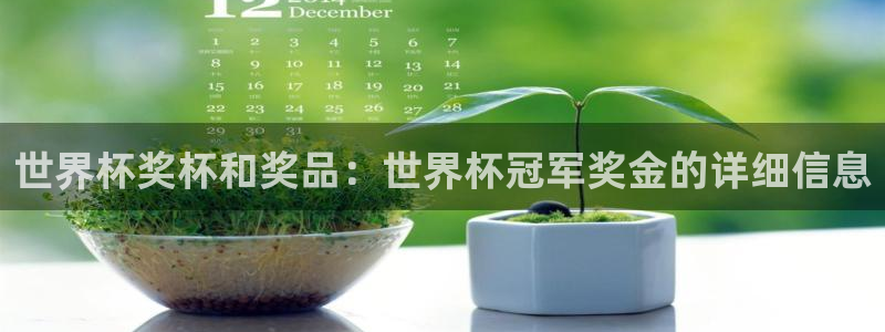 世界杯 2026:世界杯奖杯和奖品:世界杯冠军奖金的详细信息
